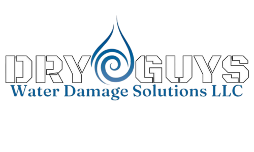 The Dry Guy LLC