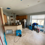 Mold Remediation Conroe
